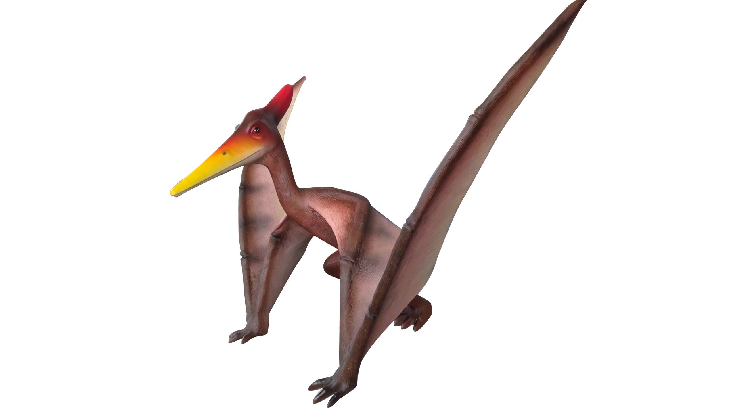 Pterosauria