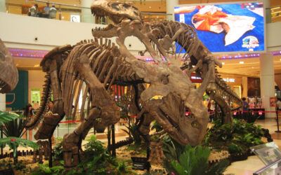 Back to the Jurassic——The exhibition of Jurassic dinosaur