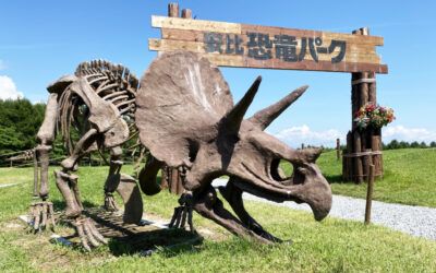 Japanese Dinosaur Park——Japan APPI Dinosaur Park